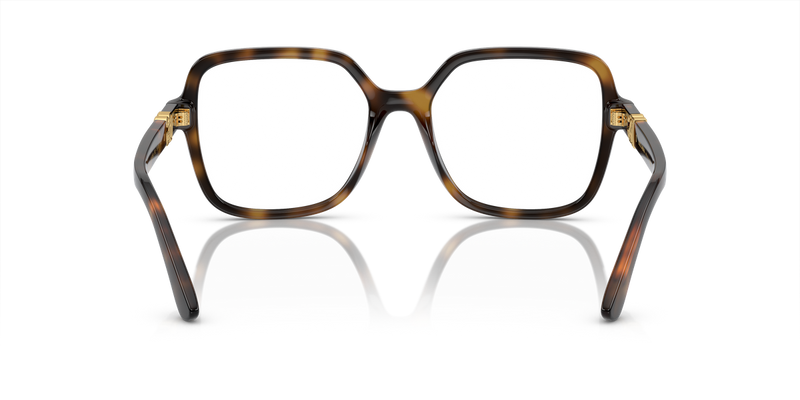 Dolce & Gabbana DG5105U in Havana / Demo Lens (502) - Alternate View