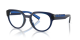 Transparent Dark Blue / Demo Lens (3009)