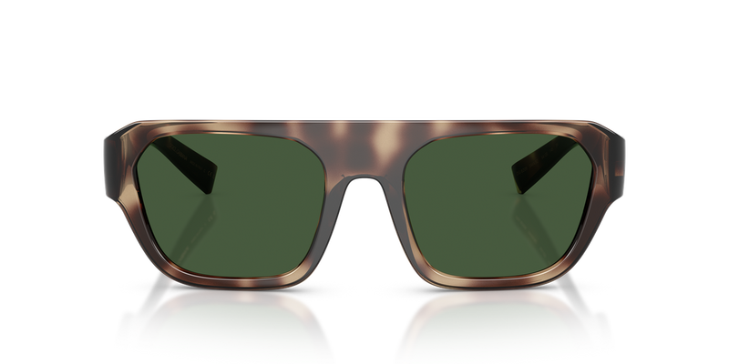 Dolce & Gabbana DG6206 in Brown Havana / Dark Green (344482) - Alternate View