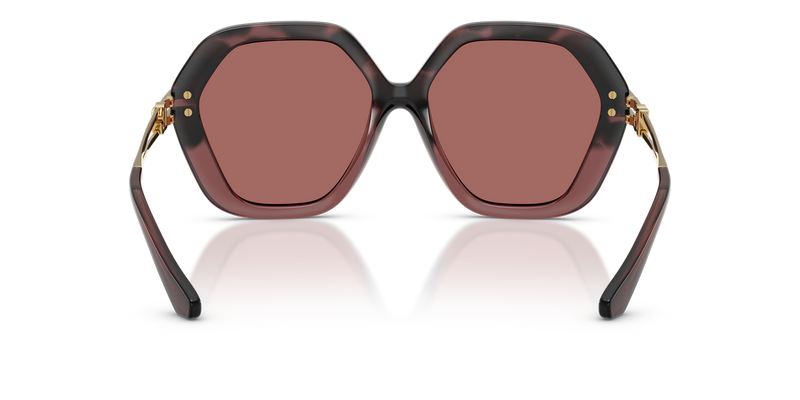 Dolce & Gabbana DG6210 in Burgundy Havana Gradient - Temple Detail