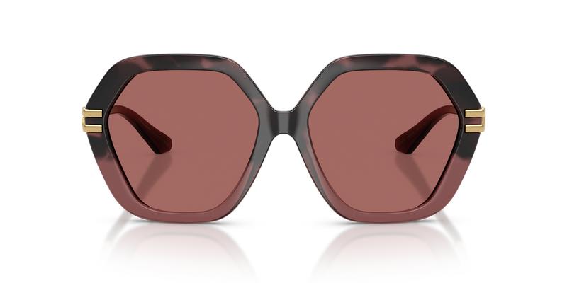 Dolce & Gabbana DG6210 in Burgundy Havana Gradient - Alternate View
