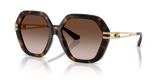 Havana / Gradient Brown (502/13)