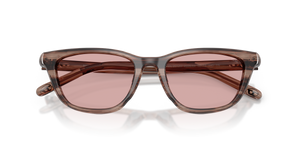 Striated Brown / Light Violet (203684)