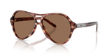 Striated Brown / Dark Brown (203673)