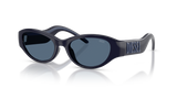 Dark Blue (205380)