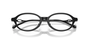 Shiny Black / Demo Lens (2001)