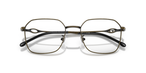 Brushed Light Grey Green / Demo Lens (1029)
