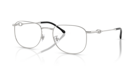 Diesel DL5013D - Shiny Silver / Demo Lens (1001)