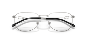 Shiny Silver / Demo Lens (1001)