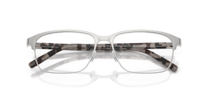 Shiny Silver / Demo Lens (1001)