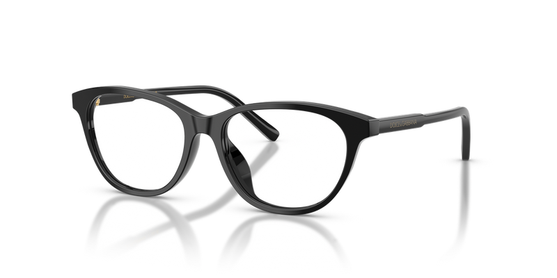 Dolce & Gabbana Kids 0DX3002 in Black - Alternate View