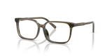 Transparent Green/Striped Green / Demo Lens (3480)