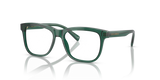 Transparent Green / Demo Lens (3008)