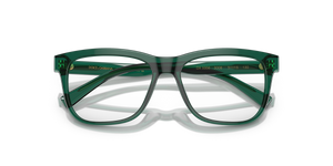 Transparent Green / Demo Lens (3008)