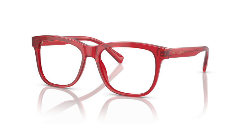 Dolce & Gabbana Kids 0DX3356 in Transparent Red - Alternate View