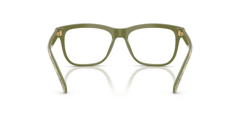 Dolce & Gabbana Kids 0DX3356 in Print Green Figs - Temple Detail