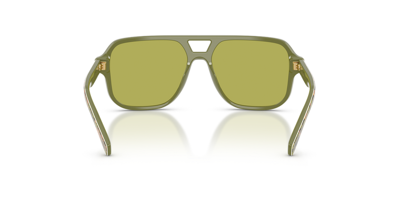 Dolce & Gabbana Kids 0DX4003 in Print Green Figs - Temple Detail