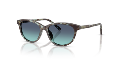 Dolce & Gabbana Kids 0DX4010 kids' sunglasses