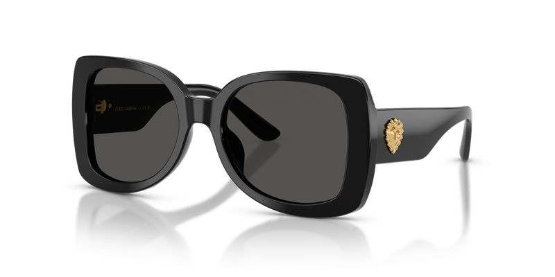 Dolce & Gabbana Kids 0DX4012 in Black - Alternate View