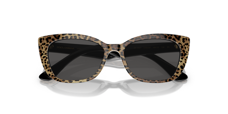 Dolce & Gabbana Kids 0DX4427 in Leo Brown/Black - Alternate View