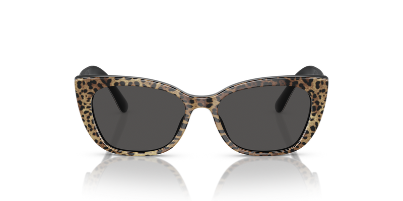 Dolce & Gabbana Kids 0DX4427 in Leo Brown/Black - Alternate View