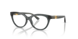 Glitter Black / Demo Lens (3241)