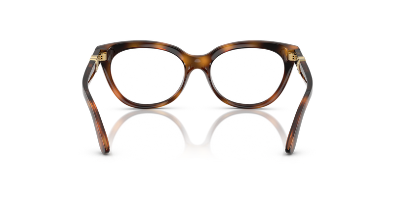 Dolce & Gabbana Kids 0DX5005U in Havana - Alternate View