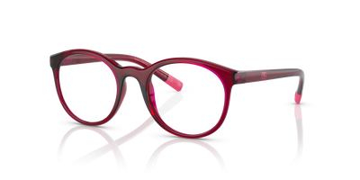 Dolce & Gabbana Kids 0DX5095 kids' glasses