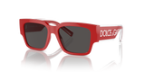 Red / Dark Grey (308887)