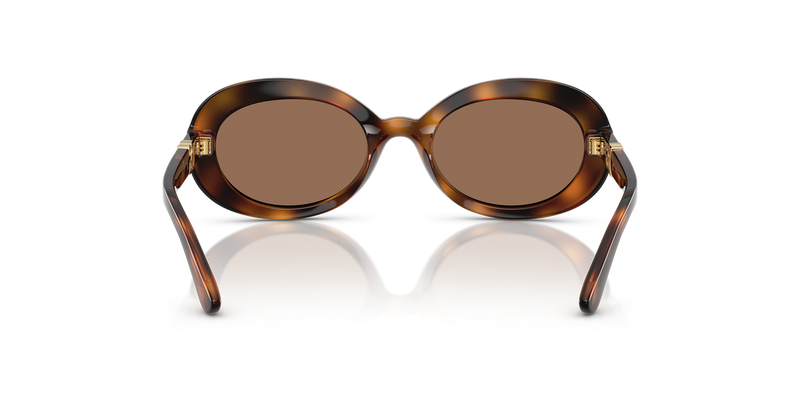 Dolce & Gabbana Kids 0DX6007U in Havana - Alternate View