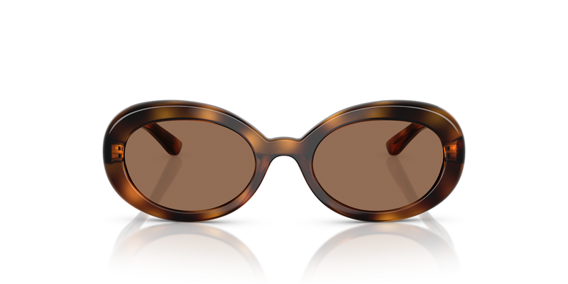 Dolce & Gabbana Kids 0DX6007U in Havana - Alternate View