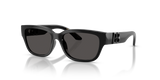 Black / Dark Grey (501/87)