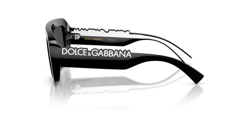 Dolce & Gabbana Kids 0DX6013 in Black - Alternate View