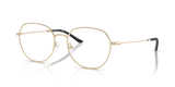 Shiny Pale Gold / Demo Lens (3013)