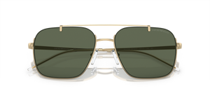 Shiny Pale Gold / Dark Green (301371)