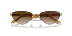 Shiny Pale Gold / Gradient Brown (301313)