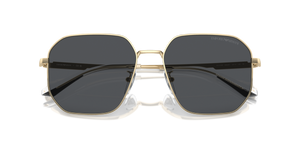 Shiny Pale Gold / Dark Grey (301387)