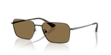 Shiny Anticate Silver / Dark Brown (344573)