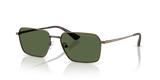 Shiny Anticate Gold / Dark Green (344671)