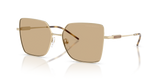 Shiny Pale Gold / Dark Brown (301373)