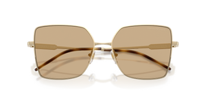Shiny Pale Gold / Dark Brown (301373)