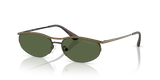 Shiny Anticate Gold / Dark Green (344671)