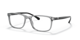 Transparent Grey / Demo Lens (5029)