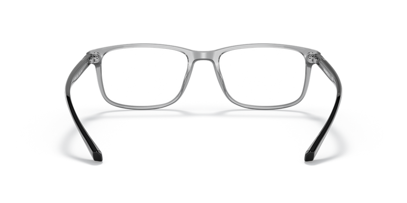 Emporio Armani EA3098 in Transparent Grey / Demo Lens (5029) - Temple Detail