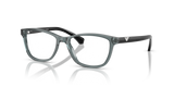 Shiny Transparent Grey / Demo Lens (6364)