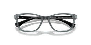 Shiny Transparent Grey / Demo Lens (6364)