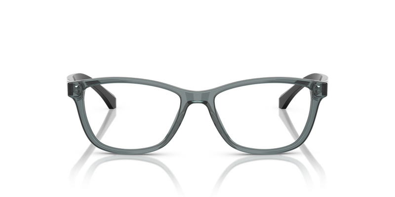 Emporio Armani EA3099 in Shiny Transparent Grey - Alternate View