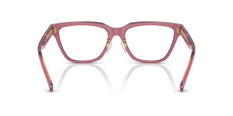 Emporio Armani EA3208F in Shiny Transparent Pink - Temple Detail