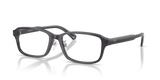 Shiny Transparent Grey / Demo Lens (5029)