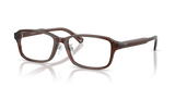 Shiny Transparent Brown / Demo Lens (5307)